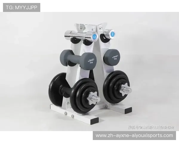 综合健身器材训练器：全身锻炼的理想选择